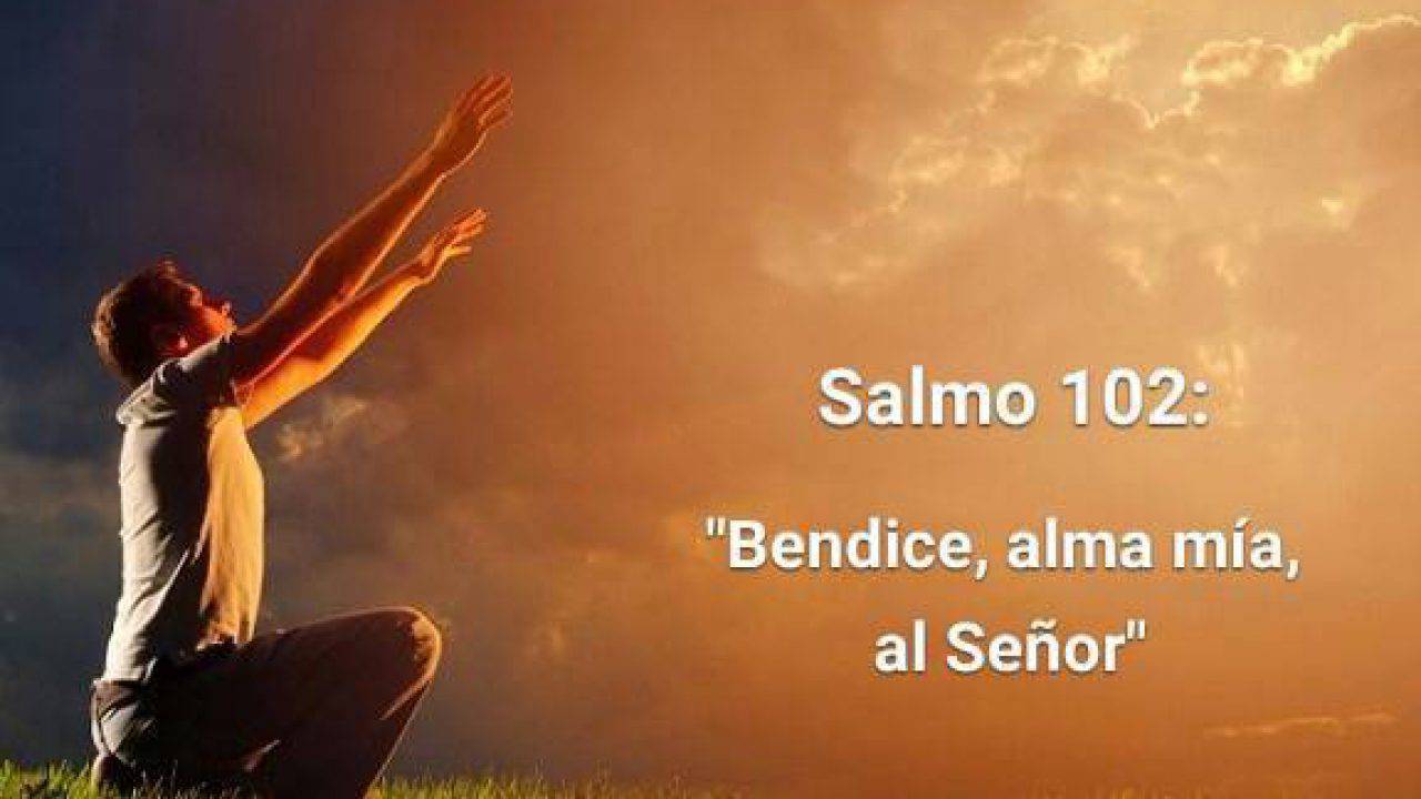 Salmo 102 (103), 1-4. 8-10. Miércoles 7 de Diciembre de 2016. – Evangeliza  Fuerte