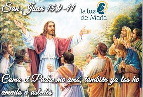 Evangelio según San Juan 15,9-11.